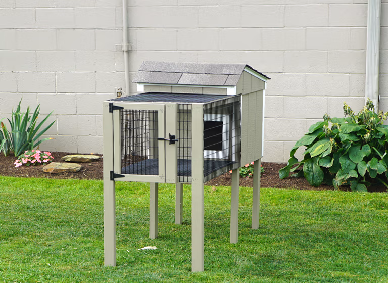 category animal shelters