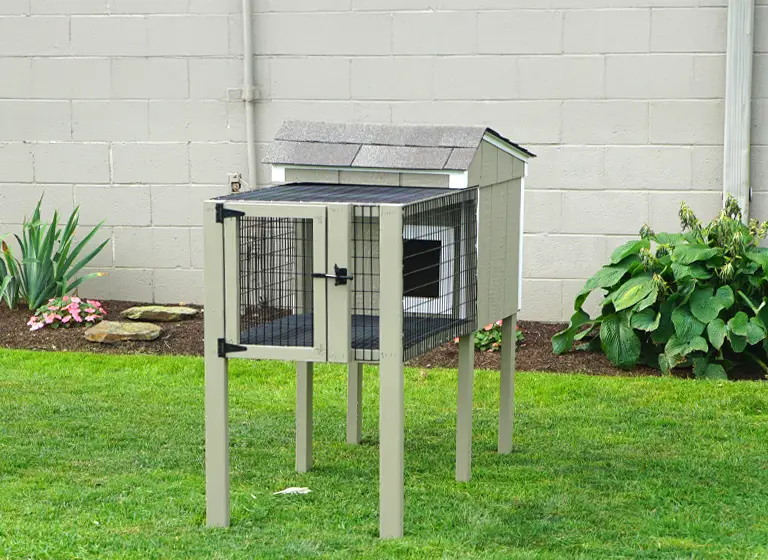 category animal shelters